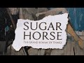 SUGAR HORSE - The Grand Scheme of Things - Full Album Stream