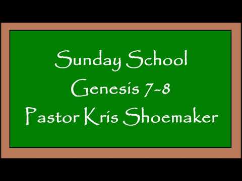 Genesis 7-8