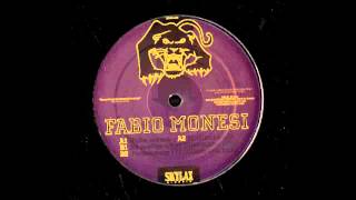Fabio Monesi - Farmhouse 171 (Skylax Records)