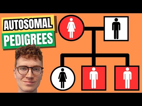 Autosomal Pedigree