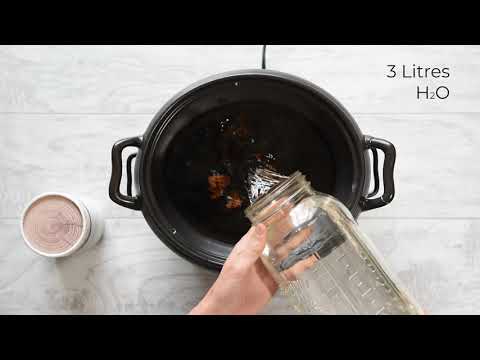 How to Brew Chaga Tea