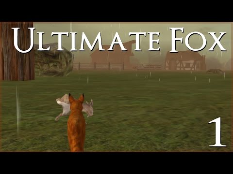 A New Fox in the Forest • Ultimate Fox Simulator - Episode #1 - YouTube