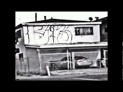 FLORENCE GANG S.A.G'Z