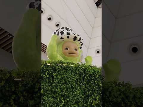 Dipsy's favorite thing is the cow-striped hat.#Teletubbies#funny