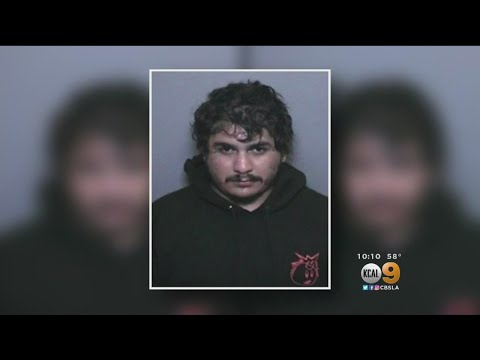 OC Man Charged With Stalking 15 Girls On Social Media, Likely Used Public Library Computers