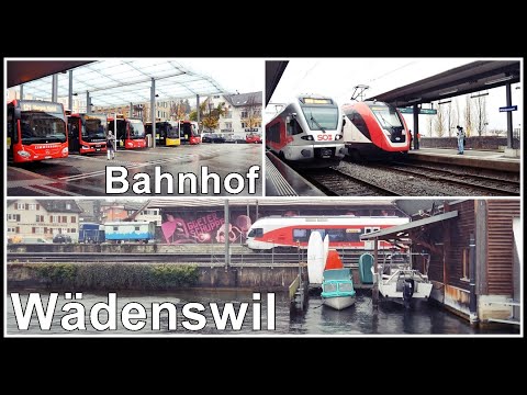 Schiff, Zug und viele Busse am Bahnhof Wädenswil im Kanton Zürich, Schweiz 2020