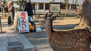 【深夜の雑談】久々にツーリング行ってきたんだわ