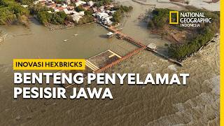 Perjuangan Demak belum berakhir : Pesisir Jawa Menolak Tenggelam - National Geog