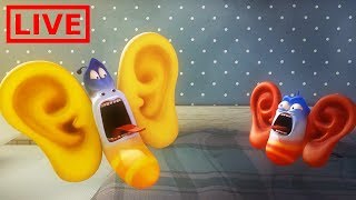 🔴 LIVE LARVA | GIANT EARS | Cartoon Movie | Cartoons For Children | Larva Cartoon | LARVA Official