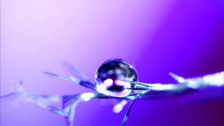 Cover art for Ricochet Love