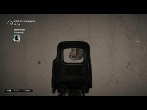 Perfect bullet hole spot on oregon