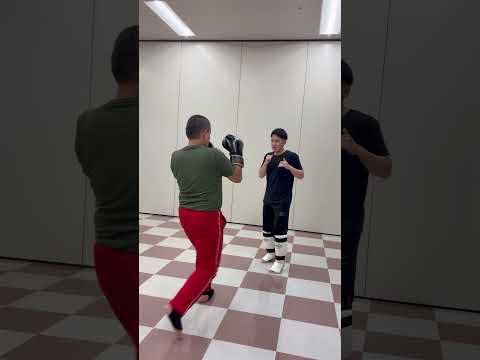 前蹴りの防御　#shorts  #護身術　#selfdifence  #kungfu  #キックボクシング  #武術  #マーシャルアーツ  #カンフー