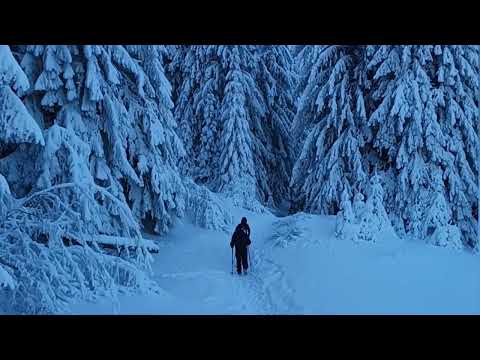 @traseu circuit:Azuga-vârful Grecului-cabana Diham -cabana Izvoarelor -cabana Gura Diham 