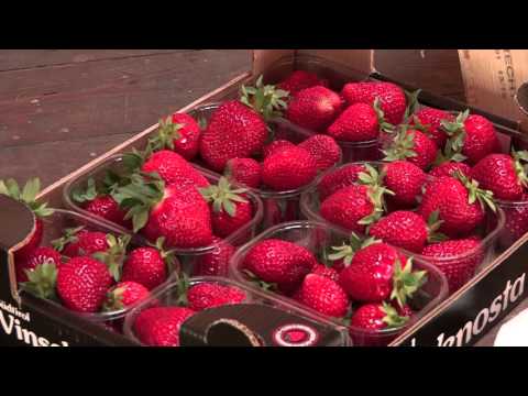 Strawberry Festival in Martello Valley