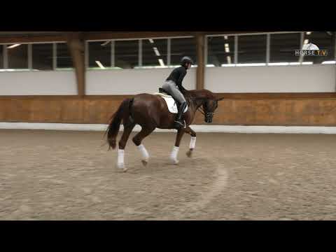 3 Don Nobless xFürst Heinrich