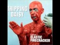 Tripping daisy - Noose