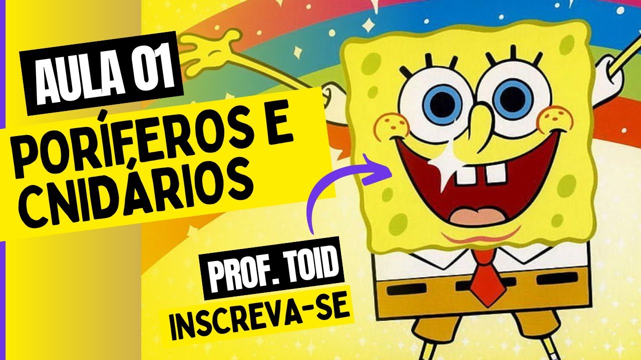 ZOOLOGIA: PORÍFEROS E CNIDÁRIOS | 2024 | ENEM