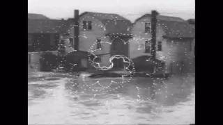 The Flood   Blue Orchids