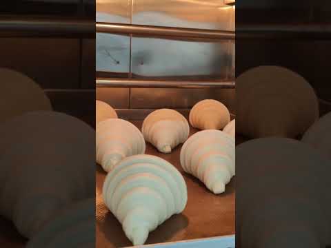 Look at this masterpiece flaky butter crossiant #bakery #viral #crossiant #ytshorts