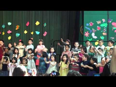 Hammsters can play the Piano