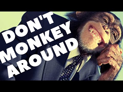 Unlocking Cost-Effective Recruitment Solutions - Placing Exceptional Talent For Over 35 Years