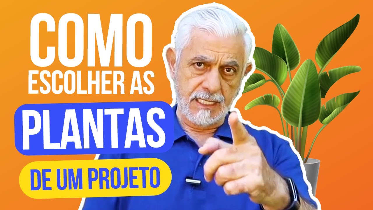 O PROCESSO DE ESCOLHA DAS PLANTAS NO PROJETO