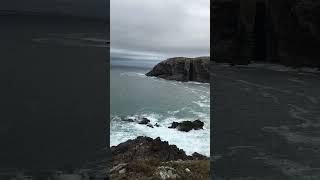 Feeling the wild on the headland