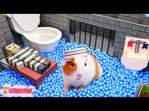 CHUCHU Hamster Escapes Deadly Maze Prison!