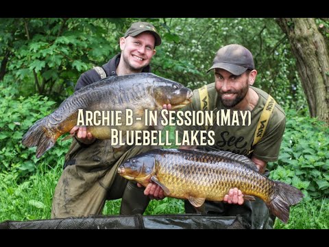 Archie B - In Session (May 2023) Bluebell lakes