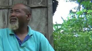 Download lagu Video Lucu Pak Ndul mp3 Download lagu Video Lucu Pak Ndul mp3