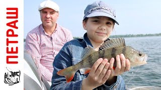 Силиконовые приманки для ловли окуня на отводной поводок