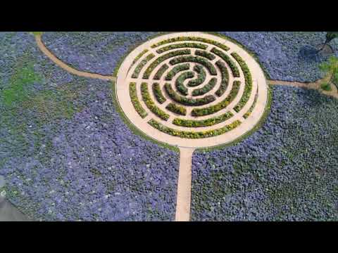 中之条ガーデンズ 夏〈中之条町公式〉