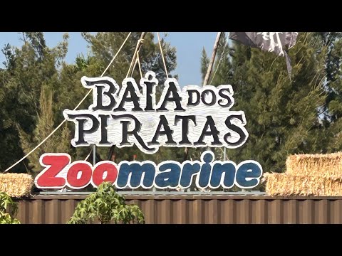 Pirate Bay Show Zoomarine (Kings of Sea C’s) 2025 - Baía Dos Piratas