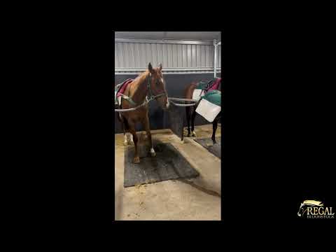 Twin Perfection Update I 120623