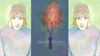 David Sylvian / Fire in the forest (with Lyrics)