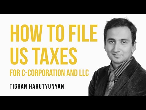 Lexie and Ginger llc video.