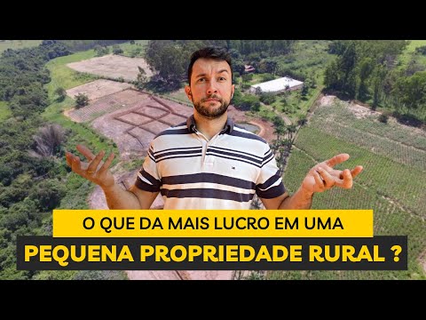 O que dá MAIS lucro em uma pequena propriedade rural?