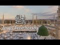 Maula Tere Naam Rabi Ul Awwal Status Eid Milad Un Nabi Status Islamic Status Shorts