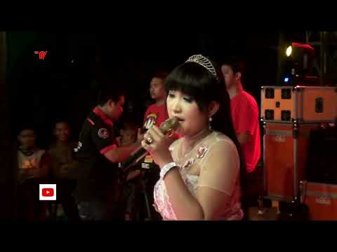 ANJING DAN SAMPAH DEWI PURNAMA ADELLA MUSIK COMMUNITY #viralvideo dara cantik ini.