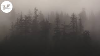 Laurence Guy - Saw You For The First Time