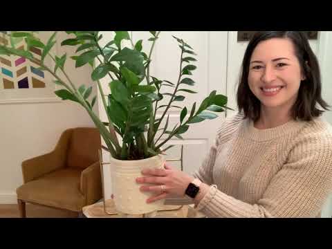 Serene Spaces Indoor Planter Pots - WTI product video review