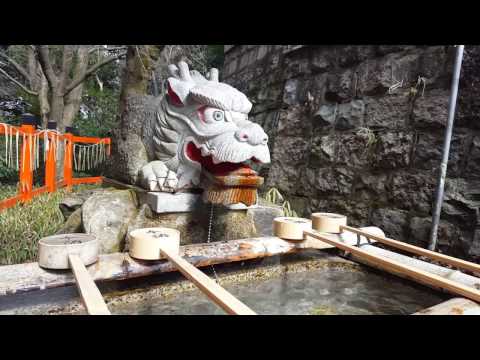 Japan Trip, 2/6/17 - 2/17/17