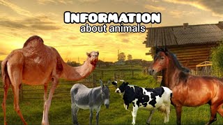 Animal sounds 🐄🐑🐓 and their benefits for humans. Watch and enjoy the natural vibes! 🐾