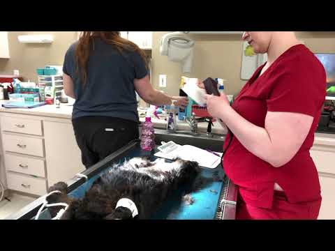 Feldkamp Task 8 VM 212