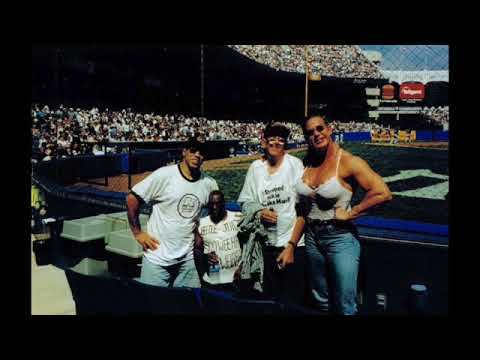 The Wack Pack Go to the Baseball Game