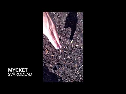 Torstens trädgårdstips 2