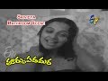 Thoorpu Padamara Telugu Movie Srividya Bathroom Scene Narasimha Raju Srividya ETV Cinema
