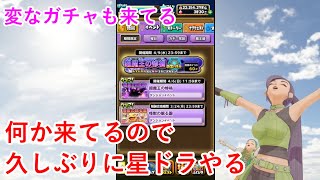 【星ドラ】何か来てるので久しぶりに星ドラやる