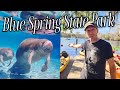 Exploring Blue Spring State Park Canoeing With Manatees In Florida