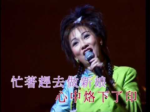 潘迪華 / 森森 - 扮新娘 (潘迪華．情牽真我演唱會)
